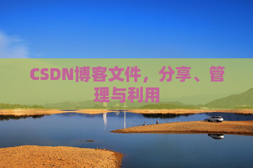 CSDN博客文件，分享、管理与利用